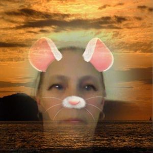 Meet your Posher, Carol